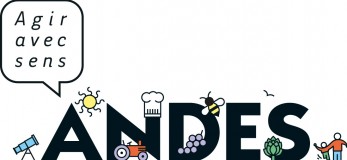 logo_ANDES_RVB